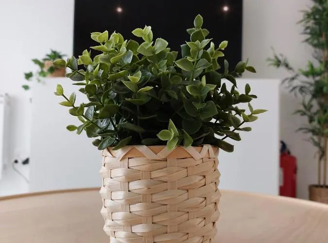 Life Apartment, New, Elegant And Cozy Apartment *